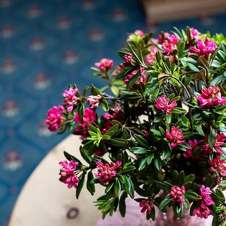 Waldhaus Am Hotell 3*