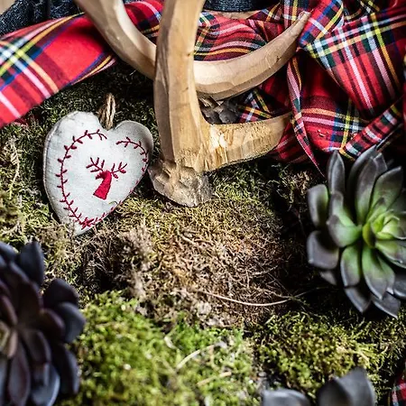 Waldhaus Am Valbella