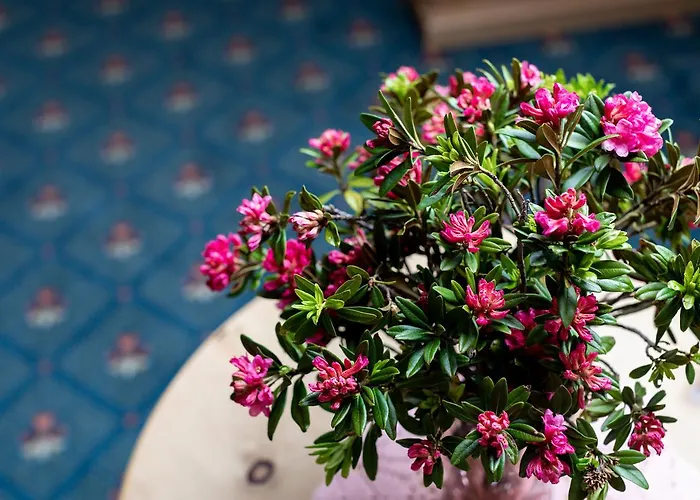 Waldhaus Am Hotel 3*